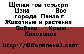 Щенки той терьера › Цена ­ 10 000 - Все города, Пенза г. Животные и растения » Собаки   . Крым,Каховское